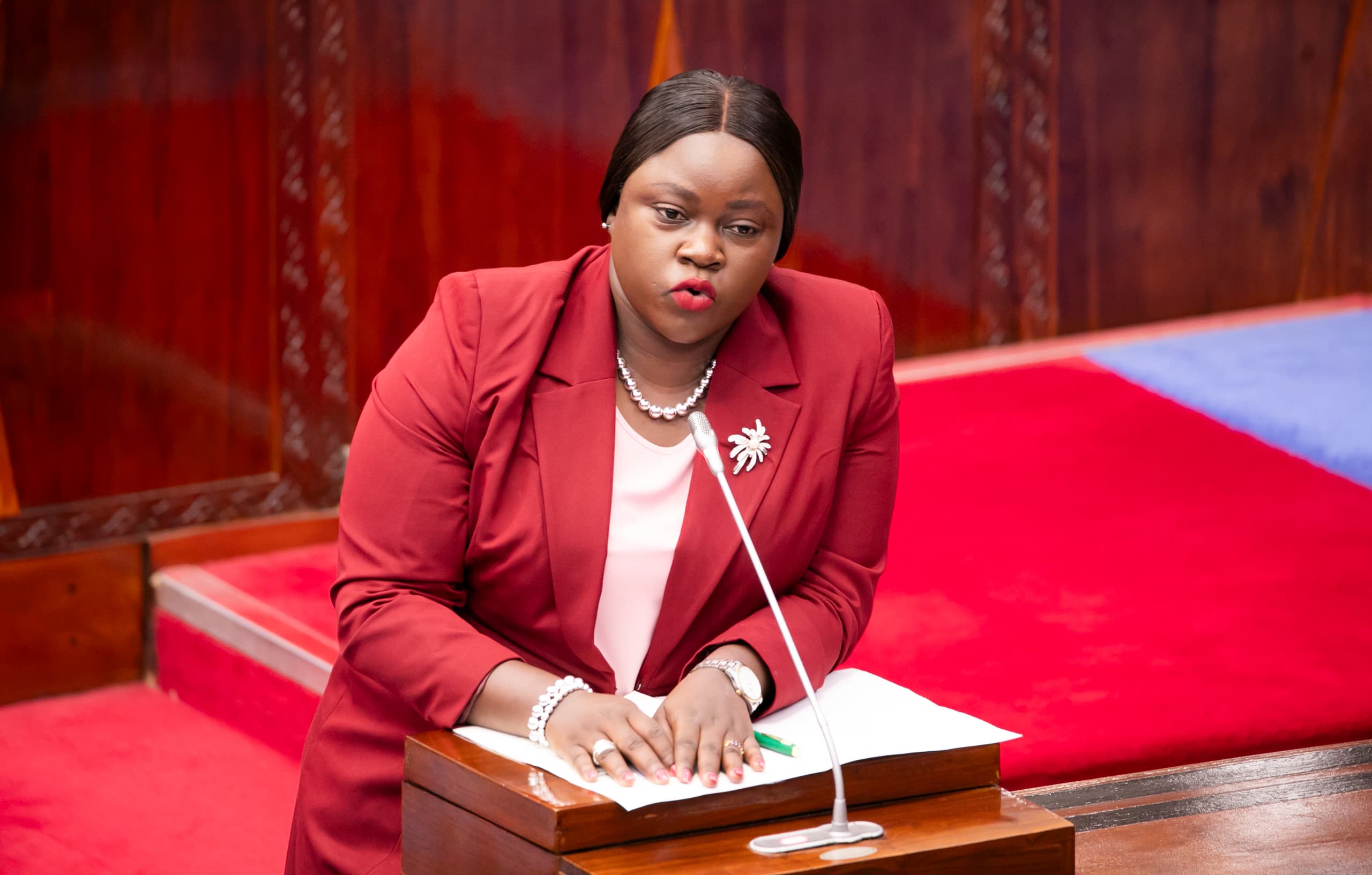 VITONGOJI 284 ARUMERU MASHARIKI VYAFIKIWA NA UMEME